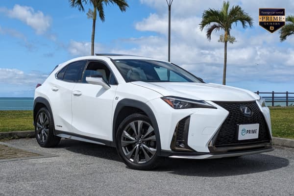 ⭐Googleレビュー評価4.8継続中！低燃費! LEXUS UX250h F Sportsプラン
