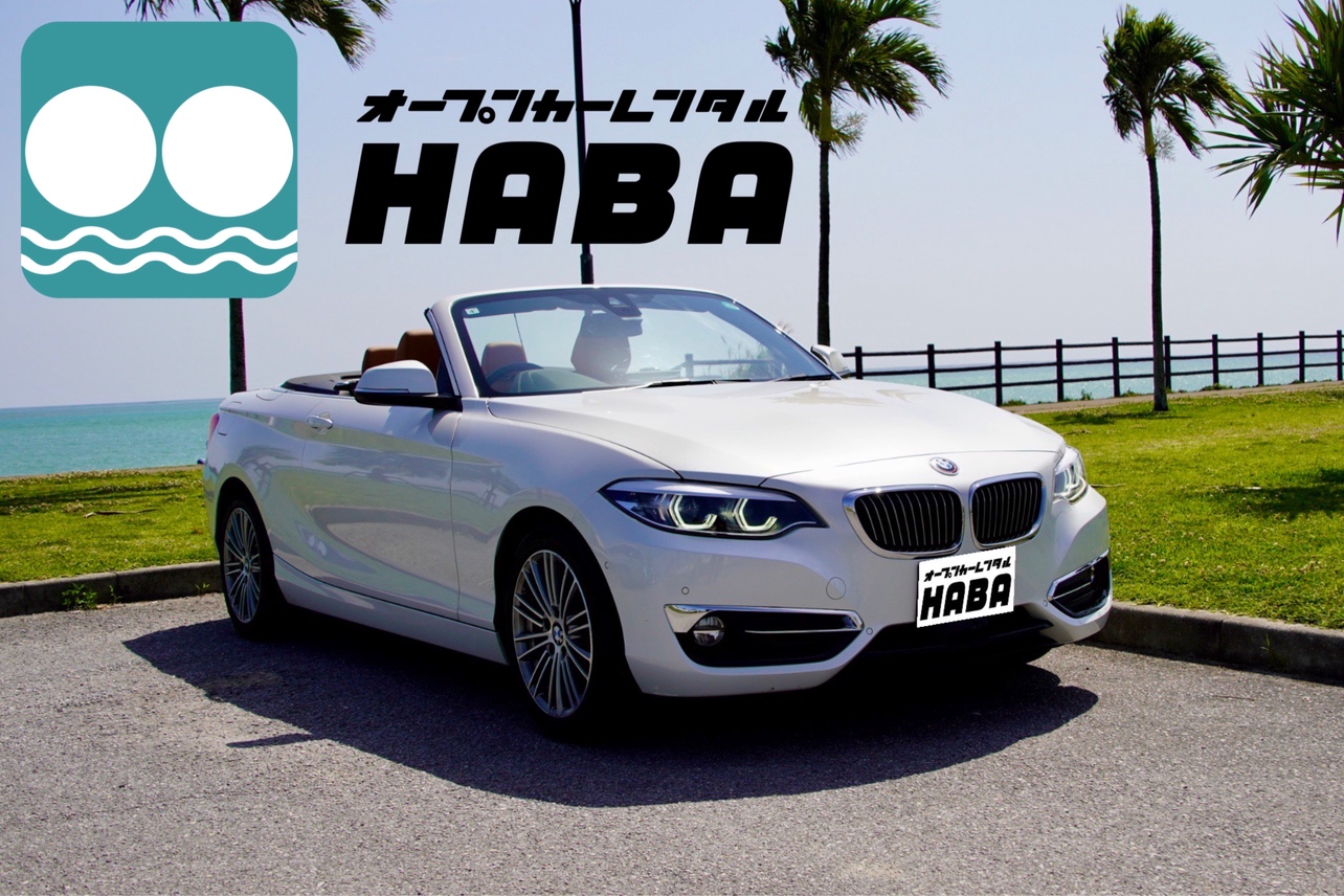 荷物の心配や人数の心配なし！BMW 220i（4名乗り）【個別送迎・タクシー返金あり】